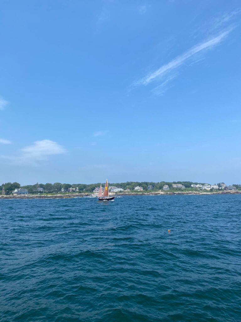 Kennebunkport whale watching