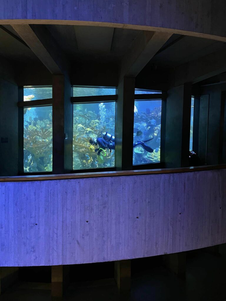 new england aquarium